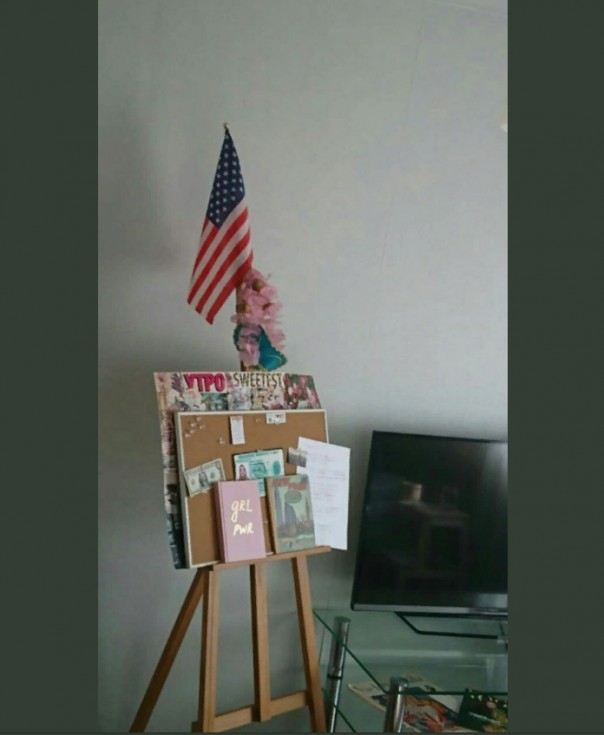 Члены ОПГ Навального в Пензе поклоняются «богам из США»