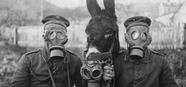 Молекулы свободы уже близко