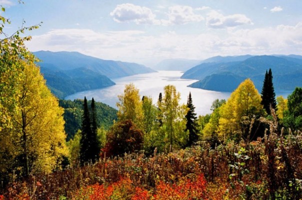 Не нужно себя переоценивать. Несколько слов о проблемах экологии. Дмитрий Лекух