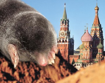 Американский крот