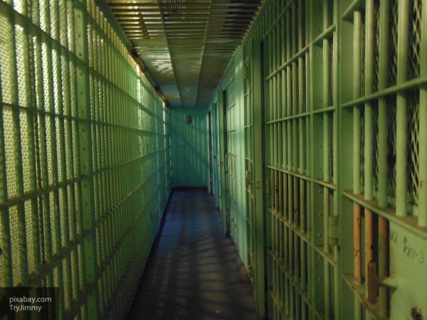 В США за 6 лет арестовано более 30 тысяч детей младше 10 лет