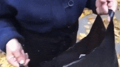 Украинские молодые радикалы отобрали у бабушки пакет с продуктами — видео