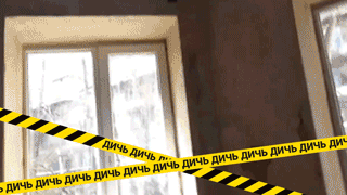 Матрацы в крови и дыры в потолке. На Урале нашли больницу из фильмов ужасов