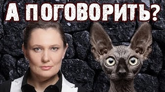 Монтян и Кот Костян. Как на духу | У Навального появился конкурент за кресло президента, или старый Алёша сломался - несите нового