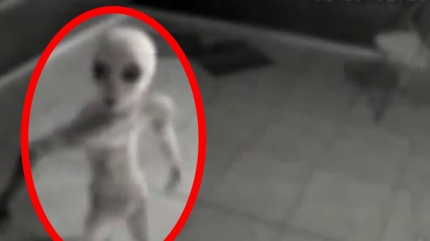 5 реальных инопланетян записаных на камеру