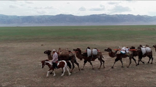 Не факт! Выпуск №153