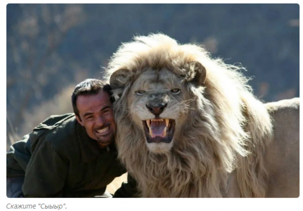 Раздолбай, который стал повелителем львов