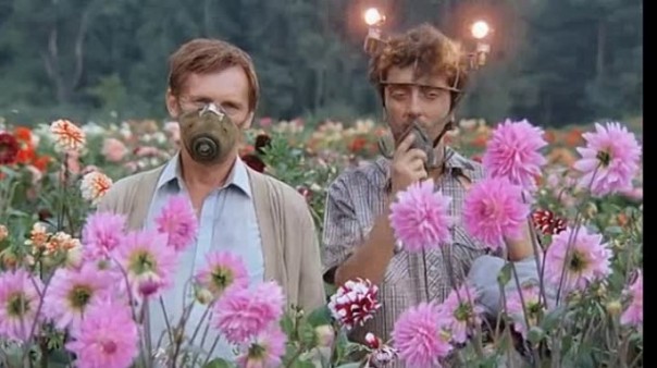 Умиротворёныши