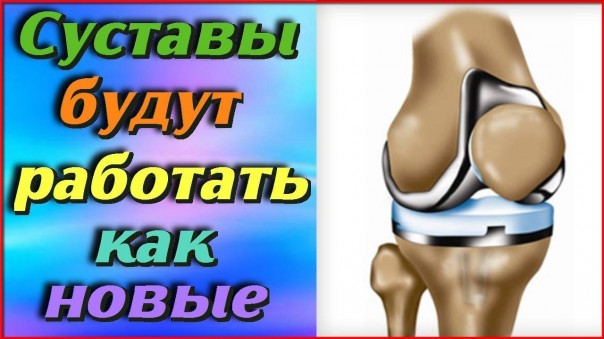 Суставы будут работать как новые. Шесть самых эффективных продуктов для здоровья суставов
