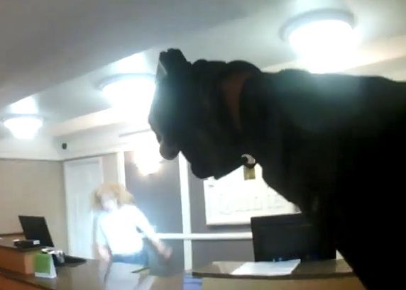 Полицейский застрелил женщину с ножницами, набросившуюся на него в отеле. Видео