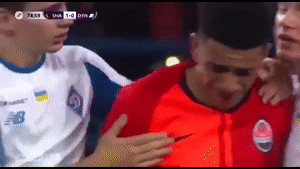 Аморальное поведение украинских фанатов довело до слёз Тайсона