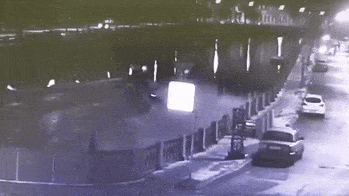 Опубликовано видео с выбрасывающим тело аспирантки доцентом СПбГУ и последующим его спасением из реки