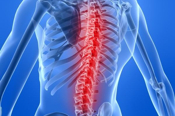 6 основных показаний для МРТ всего позвоночника