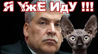 Дорогу!!! Грудинин идёт в президенты!!! Кот Костян