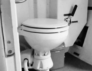 Антироссийская пропаганда сконцентрировалась на унитазах