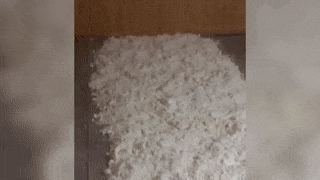 Тонны "соли" на миллиарды рублей. Крупнейшую наркофабрику накрыли в Ленобласти