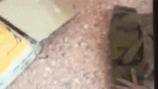 В Улан-Удэ в квартире бандита нашли несколько килограммов тротила