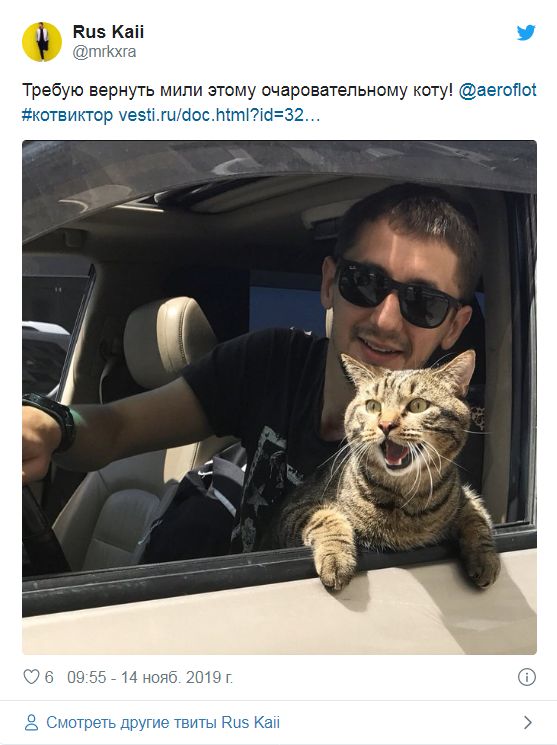 Русский кот — за Крым и против бюрократии. Ilta-Sanomat (Финляндия)