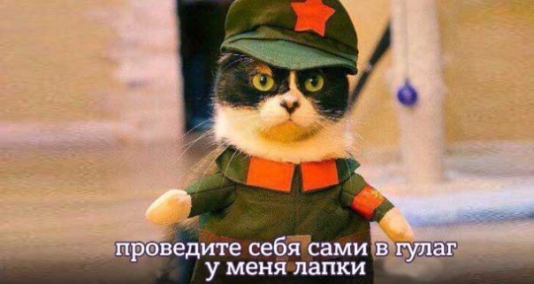 Руслан Карманов (из Гонконга) последовательно разбирает грубейшие ошибки и выводы Кагарлицкого