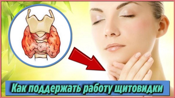 Щитовидная железа: Самые полезные продукты для восстановления щитовидки. Женские советы здоровья