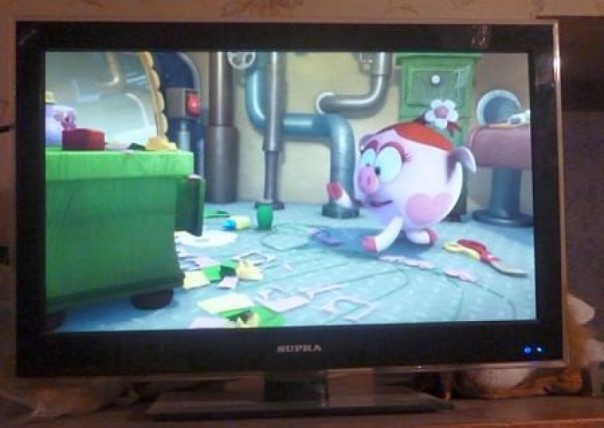 На Львовщине активисты устроили скандал в детском саду за показ «Смешариков»: мультфильм пропагандирует русский мир!