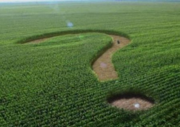 Зеленский инициировал проведение референдума о продаже земли иностранцам после начала продажи