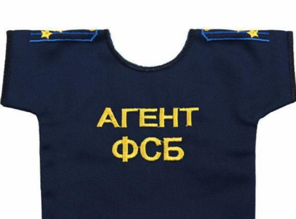 В Полтавской области «агента ФСБ» приговорили в 12 годам заключения