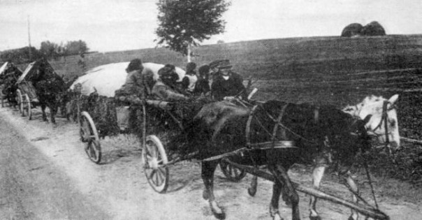 Обыкновенный цинизм: в ФРГ славят коней, «спасших тысячи от Красной армии»