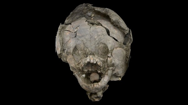 В Эквадоре найдены 2000-летние останки младенцев в "шлемах" из черепов других детей