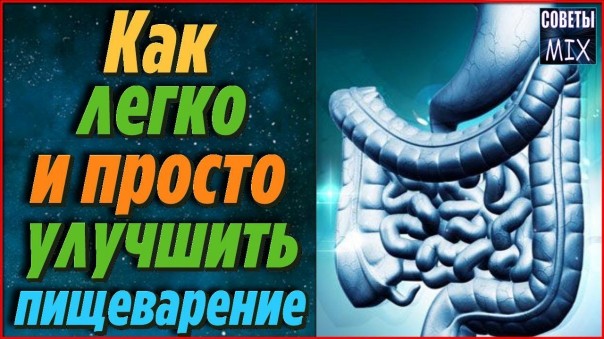 Как улучшить пищеварение с помощью самых простых продуктов. Полезные советы для здоровья