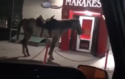 "Максимально красивый и на коне". Мужчина на коне устроил стрельбу в кафе