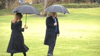 Трамп "забыл" Меланью и чуть не улетел без неё