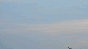 Появилось видео тестового полёта украинской ракеты, "угрожающей Крымскому мосту"