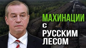 Кому невыгодно наведение порядка. Почему ушёл губернатор Левченко