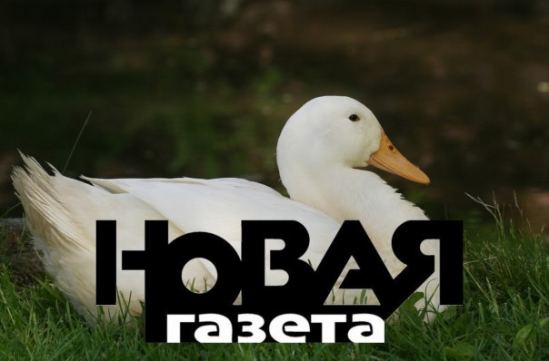 «Новая газета» на страже западных ценностей