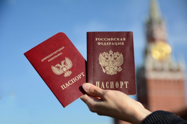 Гражданство РФ по упрощенной процедуре получила 51 тысяча жителей ДНР – МВД