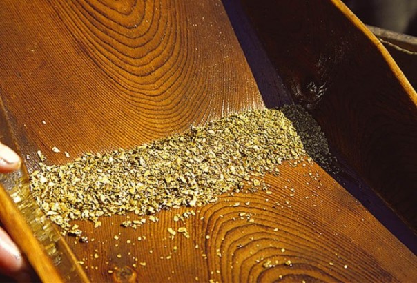 Журналист «Новой газеты» порадовался гибели золотодобытчиков на Сейбе