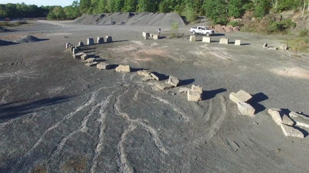 Найден древнейший ископаемый лес