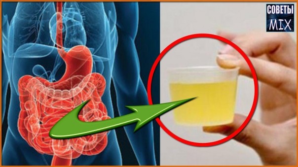 Напиток, который приведет ваш кишечник в идеальное состояние. Секреты здоровья и долголетия