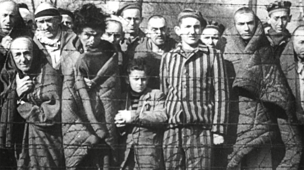 Гиену Европы схватили за исторический хвост. Анатолий Вассерман