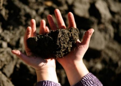 Плата за землю: Коломойскому вернут «Приватбанк», а Вакарчука запустят в правительство