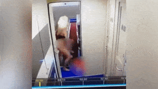 Полуголая мать чуть не убила маленькую дочь в поезде Симферополь - Москва