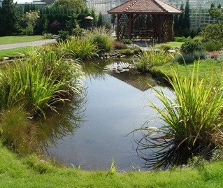 А.В.Росич. Возвращаемся к медитации…