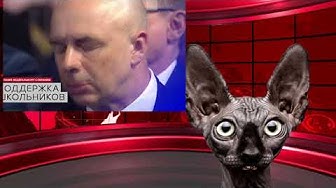 Деньги ЕСТЬ, но вы держитесь! #отставкамедведева. Кот Костян