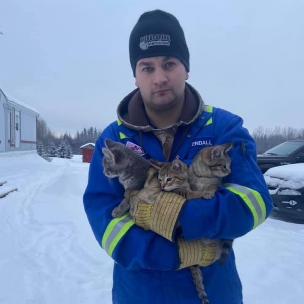 Как спасти котят с помощью кофе