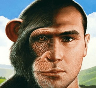 Почему обезьяны не превращаются в людей?