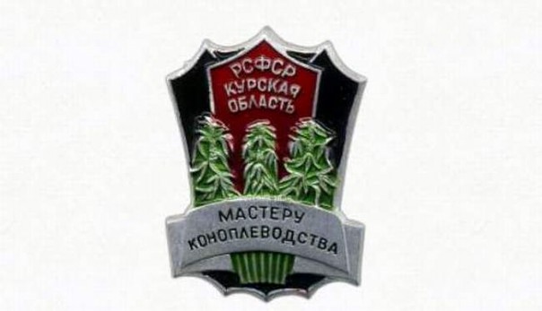 Для здоровья: новое правительство России разрешило выращивать мак и коноплю