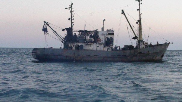 Экипаж задержанного в Азовском море украинского судна признал факт браконьерства