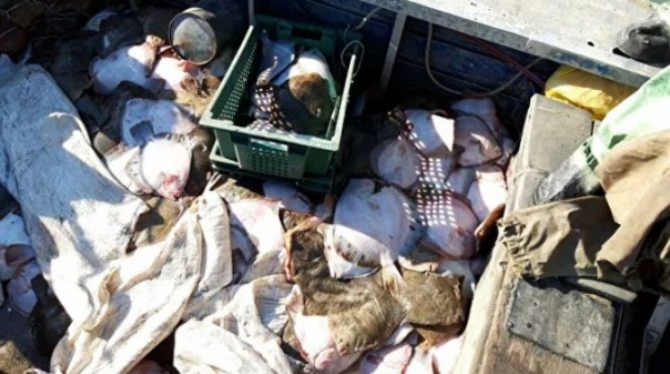 В России ответили на протест Киева из-за задержания украинского судна