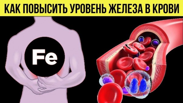 Как повысить уровень железа в крови. Продукты для поднятия гемоглобина. Советы для здоровья и питания